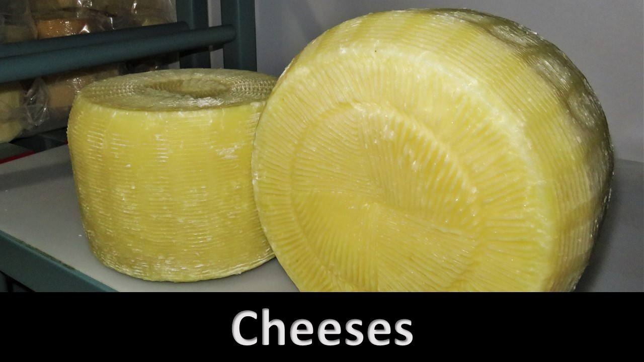 cheeses_a