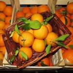 Organic Brasiliano Oranges 2 kg