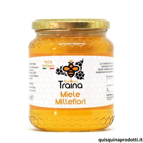 Wildflower Honey 500 g Traina
