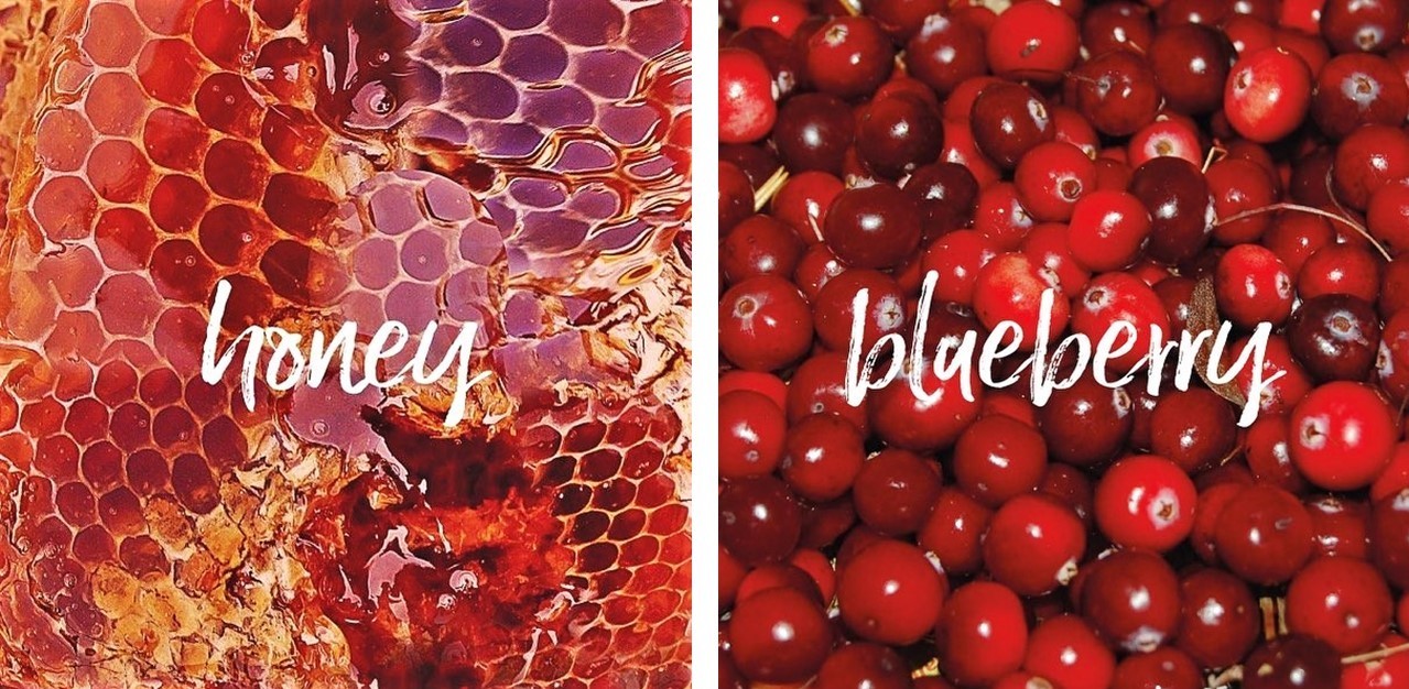honey_and_blueberries